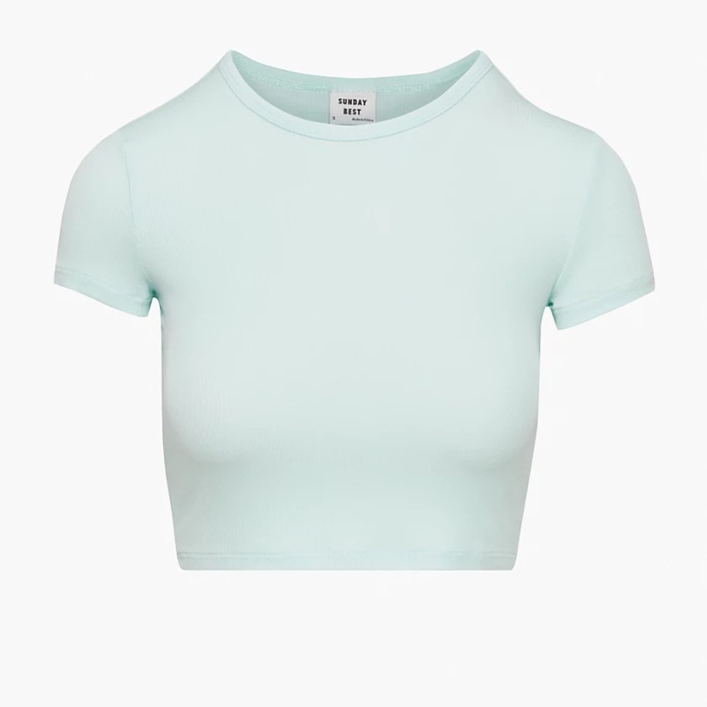 Aritzia Sunday Best Bliss Cropped T-shirt